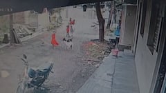 इचलकरंजीत भटक्या कुत्र्यांची दहशत सुरुच, आता तीन कुत्र्यांचा चिमुकलीवर हल्ला; डोळ्याला आणि डोक्याचा चावा