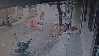 इचलकरंजीत भटक्या कुत्र्यांची दहशत सुरुच, आता तीन कुत्र्यांचा चिमुकलीवर हल्ला; डोळ्याला आणि डोक्याचा चावा