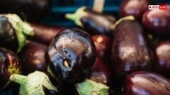 बैंगन की सब्जी खाने से क्या वाकई होता है पथरी होने का खतरा? ये रहा जवाब