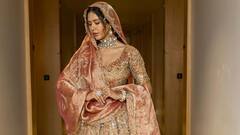 8 Mesmerising Ethnic Looks Of Sonam Bajwa That Radiate Glamour