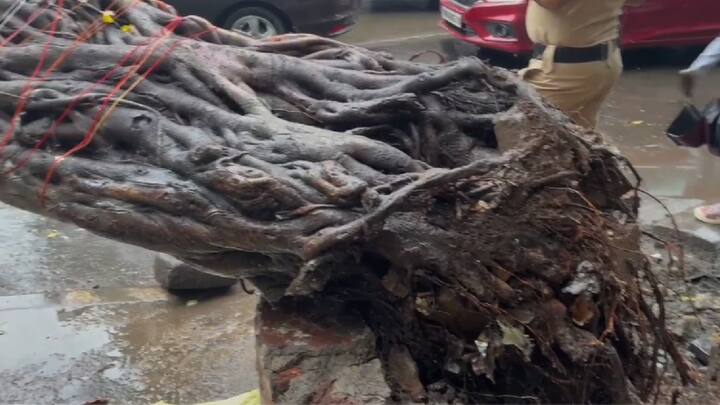 राज्यात आज पुन्हा एकदा मुसळधार पावसाने अनेक जिल्ह्यात हजेरी लावली असून मुंबई पुण्यासह कोकणातही वादळी वाऱ्यासह पाऊस पडला आहे. त्यामध्ये, काही ठिकाणी झाडे उन्मळून पडली असून घरांचेही नुकसान झालं आहे.