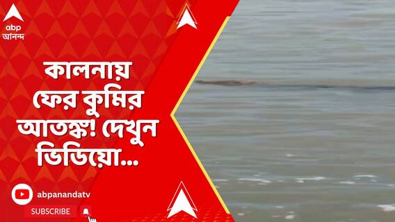 কালনায় ফের কুমির আতঙ্ক, গঙ্গায় নামতে নিষেধাজ্ঞা