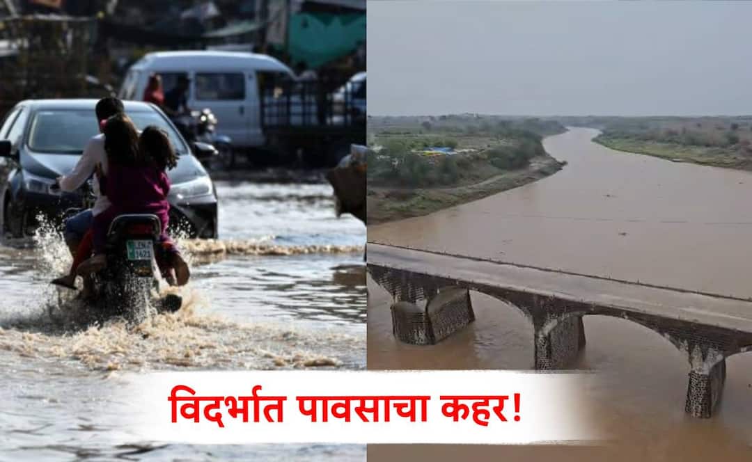 विदर्भात पावसाचा कहर! वीज कोसळून चार जणांचा मृत्यू, तर 5 जण जखमी; IMDचा इशारा काय?