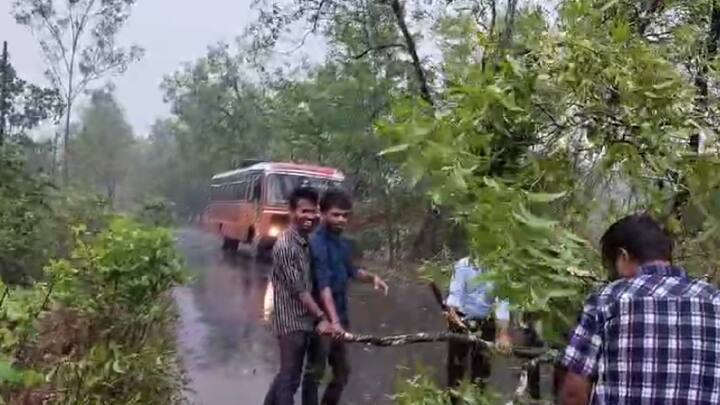 दरम्यान, कोकणात वादळी वाऱ्याने झाडं उन्मळून पडल्याने काही काळ वाहतूक विस्कळीत झाली होती. त्यामध्ये, प्रवाशांसह एसटी बसही अडकून पडली होती.