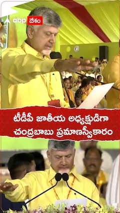 టీడీపీ జాతీయ అధ్యక్షుడిగా చంద్రబాబు ప్రమాణ స్వీకారం
