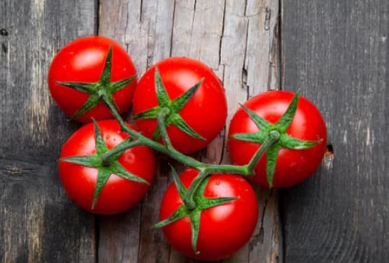 टमाटर का रस: टमाटर में नैचुरल ब्लीचिंग एजेंट होते हैं. इसके रस को रुई की मदद से पूरे चेहरे पर लगाएं. रातभर छोड़ना हो तो थोड़ा बेसन मिलाकर मास्क की तरह लगाएं, वरना 20 मिनट बाद धो दें.