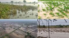 बळिराजांचे स्वप्न भंगलं! हाता तोंडाशी आलेला घास डोळ्यादेखत हिरावला; शेतकऱ्यांच्या डोळ्यात अन् रानात पाणी