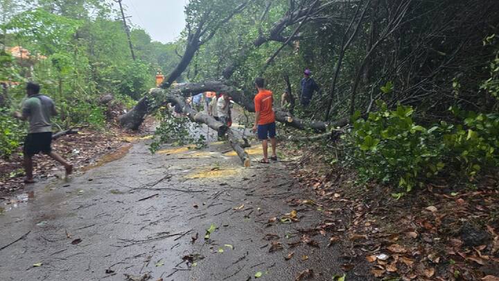 येथील अनेक घरांची कौले व पत्रे उडाले असून अचानक आलेल्या वादळामुळे नागरिकांची तारांबळ उडाली. संध्याकाळी अचानक जोरदार वारा सुटल्याने आलेल्या वादळात परिसरातील लाखो रुपयांचे नुकसान झालं आहे.