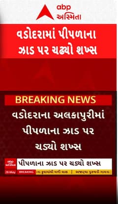 Valsad: નીલગીરી બંગલામાં પીપળાના ઝાડ પર ચઢી ગયો આ શખ્સ અને પછી... જુઓ શોર્ટ વીડિયોમાં