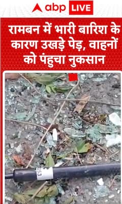Breaking News: Heavy Rain in Ramban Causes Uprooted Trees, Damages Vehicles | ABP NEWS