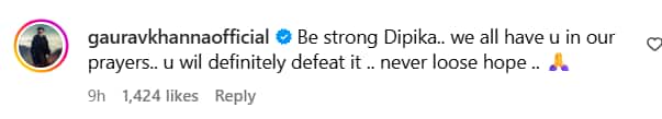 स्टेज 2 लिवर कैंसर से जूझ रही दीपिका कक्कड़, गौरव खन्ना से गौहर खान तक, तमाम सेलेब्स ने की एक्ट्रेस की सलामती की दुआ
