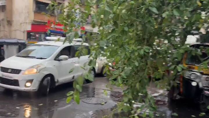 सुदैवाने या दुर्घटनेत रिक्षाचालक सुखरूप वाचला. मात्र रिक्षावर झाड कोसळल्यामुळे रिक्षाचा मोठा नुकसान झाला आहे. रस्त्यावर झाड कोसळल्यामुळे काही काळ अंधेरी ओल्ड नागरदास रोडवर वाहतूक कोंडी निर्माण झाली होती.