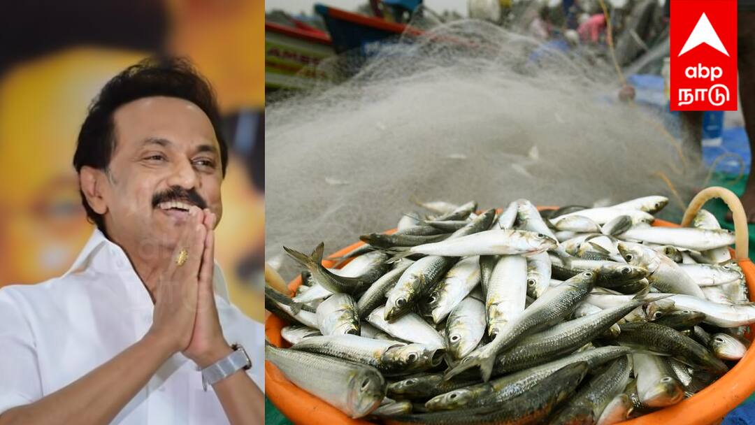 மீனவர்களுக்கு அடித்தது ஜாக்பாட் ; இப்படி ஒரு நலத்திட்டமா? - முதல்வர் ஸ்டாலின்  அசத்தல்