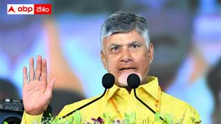 Chandrababu warning: టీడీపీలో కోవర్టుల వల్లే హత్యా రాజకీయాలు - వదిలి పెట్టేది ఉండదని చంద్రబాబు హెచ్చరిక