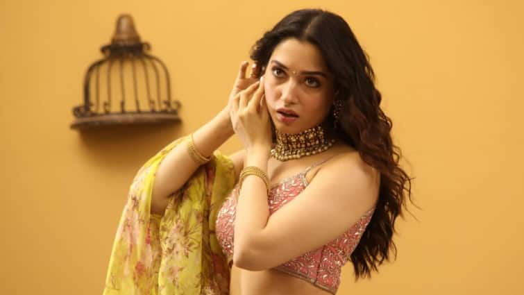 After Virat Kohli, Tamannaah Bhatia Clarifies Accidental Like On Deepika Padukone Reel Amid Spi