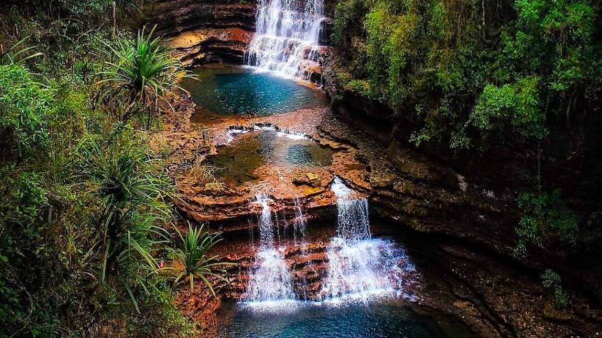 (Image Source: Twitter/@MDoNER_India)