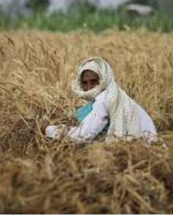 ਕਿਸਾਨਾਂ ਲਈ ਖੁਸ਼ਖਬਰੀ, ਹੁਣ ਸਵੇਰੇ 8 ਵਜੇ ਤੋਂ ਸ਼ਾਮ 6 ਵਜੇ ਤੱਕ ਕਰ ਸਕਣਗੇ ਇਹ ਕੰਮ...