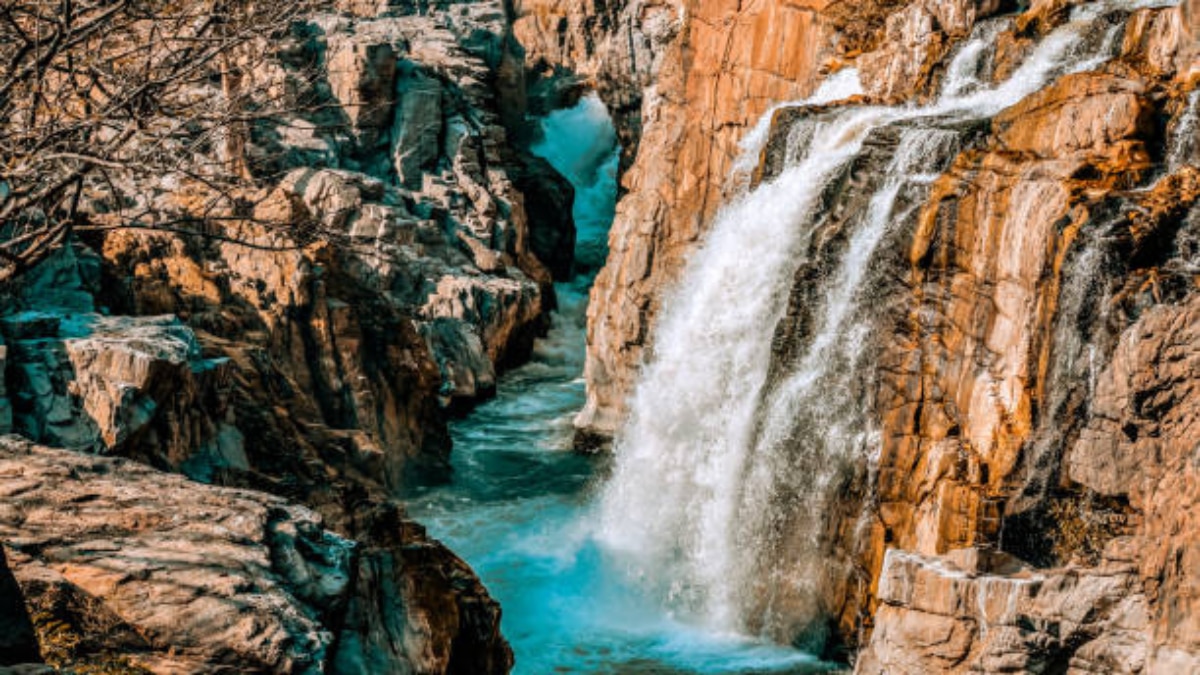 (Image Source: iStockphoto)