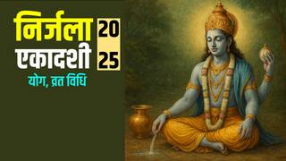 Nirjala Ekadashi 2025: निर्जला एकादशी या भीमसेनी एकादशी पर बन रहे हैं दुर्लभ शुभ योग! भूलकर भी न करें ये गलती