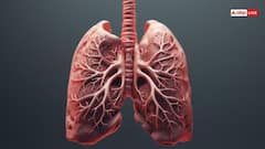 सांस रोककर कैसे पता लगती है फेफड़ों की हेल्थ? जानें क्या है ये ट्रिक