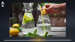 ਗਰਮੀਆਂ 'ਚ ਕਿੰਨੇ ਗਿਲਾਸ ਪੀ ਸਕਦੇ ਹੋ ਨਿੰਬੂ ਪਾਣੀ! ਜ਼ਰੂਰਤ ਤੋਂ ਵੱਧ ਸੇਵਨ ਫਾਇਦੇ ਦੀ ਥਾਂ ਪਹੁੰਚਾ ਸਕਦਾ ਨੁਕਸਾਨ