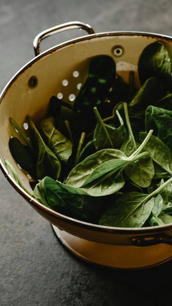 রোগ নিয়ে দুশ্চিন্তা নয়, রোজ পাতে থাক এই শাক