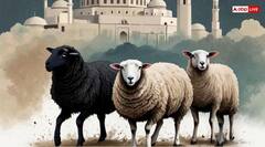 Bakrid 2025 in India: ईद उल-अजहा के चांद का हुआ दीदार, भारत में इस दिन बकरीद