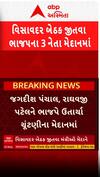 Visavadar By Poll 2025: વિસાવદરમાં પાટીદારો વચ્ચે જામશે જંગ! ભાજપનો શું છે માસ્ટર પ્લાન?