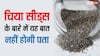 ब्रेस्ट साइज को बढ़ाने में मदद करते हैं चिया सीड्स? जान लीजिए इस बात का सच