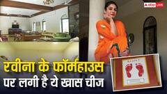 कौन है रवीना टंडन के घर की लक्ष्मी? जिसके पैरों की छाप है एक्ट्रेस के फार्महाउस पर