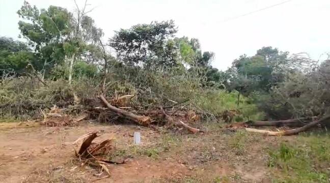 जयपुर में जंगल उजाड़कर मॉल और होटल बनाने की तैयारी, पेड़ कटने के विरोध में सड़कों पर उतरे लोग