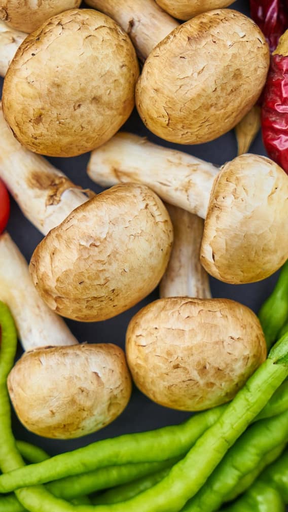 भारत का मशरूम हब, कौन सा राज्य है नंबर वन?