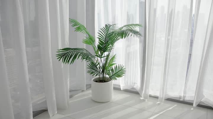 5. Select Eco-Friendly Fabrics For Home: Select curtains, cushion covers, and upholstery made from organic cotton, linen, or hemp. These materials are renewable and biodegradable. They're free from harmful chemicals and make your home more sustainable. (Image Source: Canva)