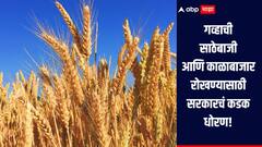 गव्हाची साठेबाजी आणि काळाबाजार रोखण्यासाठी सरकारचं कडक धोरण, नवीन आदेश लागू, किती असणार मर्यादा?