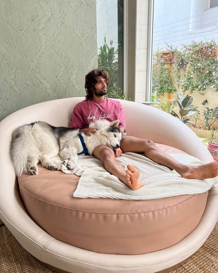 A serene patio leads into the home, blending indoor and outdoor living with effortless elegance.