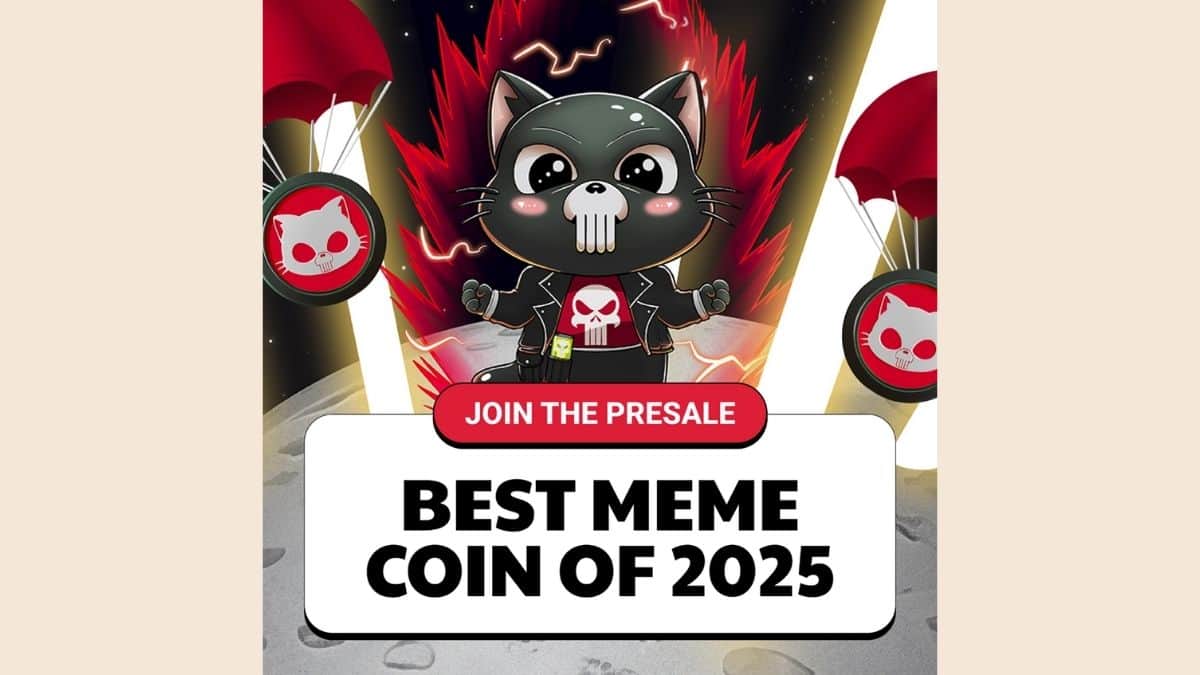Crypto Analysts Say Punisher Coins Presale Is Among The Top Meme Coins To Buy For Beginners