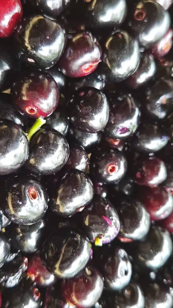 जामुन की गुठली के भी हैं ये गजब के फायदे