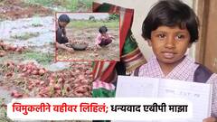 पावसामुळे नुकसान, वडिलांसोबत भिजलेला कांदा उचलणाऱ्या चिमुकलीला मदत; हटके स्टाईलने आनंद व्यक्त
