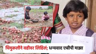 पावसामुळे नुकसान, वडिलांसोबत भिजलेला कांदा उचलणाऱ्या चिमुकलीला मदत; हटके स्टाईलने आनंद व्यक्त