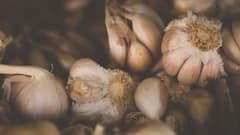 Diabetes Friendly Foods:  मधुमेहाच्या रुग्णांसाठी लसूण चमत्कारापेक्षा कमी नाही, जाणून घ्या फायदे!