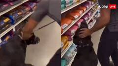 शॉपिंग करते हुए बेकाबू हो गया खूंखार ब्रीड का कुत्ता, मालिक पर ही करने लगा हमला- देखें वीडियो