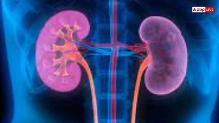 इस सस्ती चीज से करें किडनी को क्लीन, पूरा शरीर हो जाएगा साफ