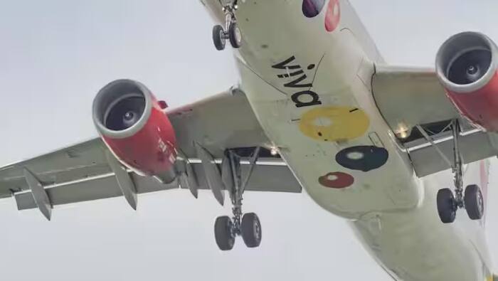 વિમાનના ટાયર પણ મહત્વપૂર્ણ છે. તેઓ લેન્ડિંગના આંચકાને શોષી લે છે અને કુશનિંગ પૂરી પાડવામાં મદદ કરે છે. તેઓ વિમાનને બ્રેક મારવા અને રોકવા માટે પણ જરૂરી છે.