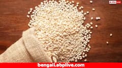 White Lentil: ভরপুর প্রোটিনের সম্ভার রয়েছে এই সাদা রঙের ডালে, অনেকেই এড়িয়ে চলেন খেতে