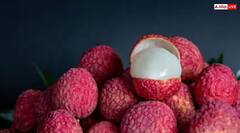 ਲੀਚੀ ਖਾਣ ਨਾਲ ਦੂਰ ਹੁੰਦੀਆਂ ਆਹ ਗੰਭੀਰ ਬਿਮਰੀਆਂ, ਇਸ ਤਰੀਕੇ ਨਾਲ ਖਾਓ