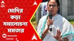 Mamata Banerjee: দেশের হয়ে বিদেশে সরব অভিষেক, রাজ্যে এসে সরকারকে নিশানা মোদির, কড়া সমালোচনা মমতার