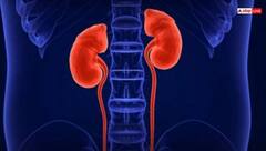 ਕਿਡਨੀ ਖ਼ਰਾਬ ਹੋਣ 'ਤੇ ਪੈਰਾਂ ਦੇ ਆਲੇ-ਦੁਆਲੇ ਨਜ਼ਰ ਆਉਂਦੇ ਆਹ ਲੱਛਣ, ਜਾਣੋ ਕਿਵੇਂ ਕਰ ਸਕਦੇ ਬਚਾਅ