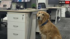 वाह, ऑफिस हो तो ऐसा! कंपनी के इस अनोखे फैसले से सारे वर्कर्स खुश, इस पहल ने जीत लिया लोगों का दिल