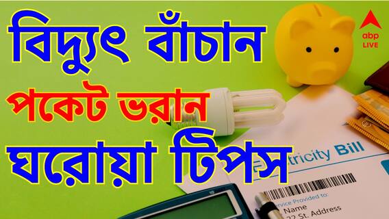 বিদ্যুতের বিলে মাথায় হাত ? কমসম হতে পারে বিলের টাকা ? কী করবেন ? কিছু ঘরোয়া উপায়