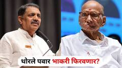 मोठी बातमी : जयंत पाटलांविरोधात पक्षातील युवा आमदार एकवटले, थेट शरद पवारांकडेच नाराजी बोलून दाखवणार, थोरले पवार भाकरी फिरवणार?